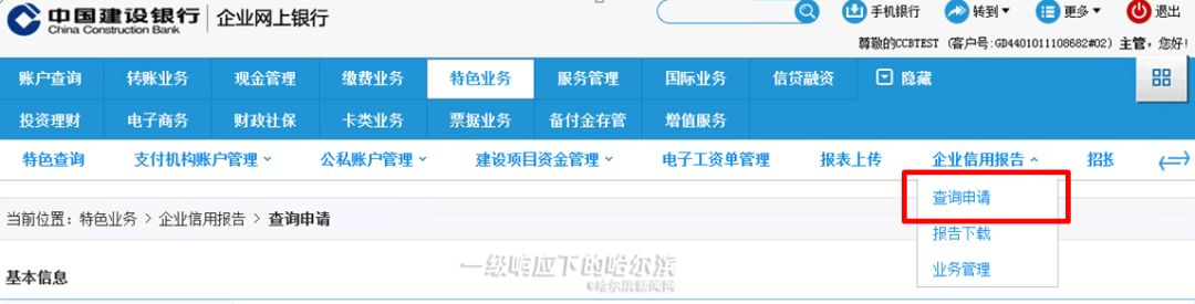 企业信用报告线上能查询打印吗,企业网上查询个人征信