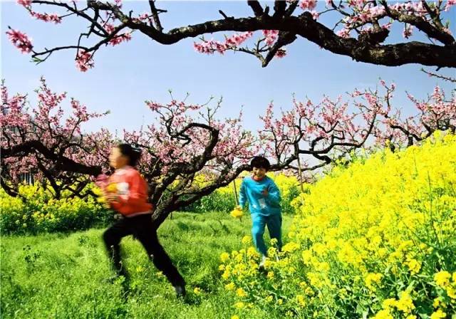 多希望睡醒一觉,多希望睡醒以后有惊喜