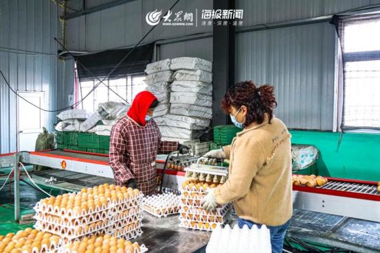 1元微力量捐款到武汉丨30枚爱心鲜鸡蛋26.8元，顺丰包邮到家