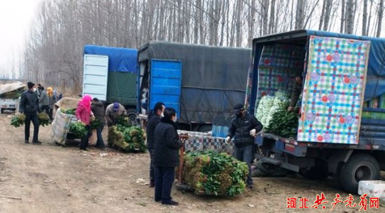 党群服务中心架起连心桥,党建引领搭建惠民连心桥