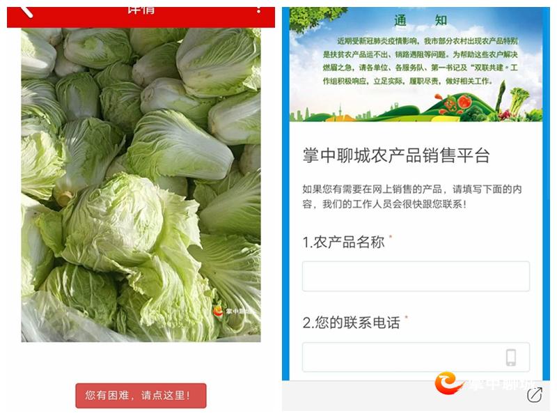 网友农产品滞销,一些农副产品滞销直播助农