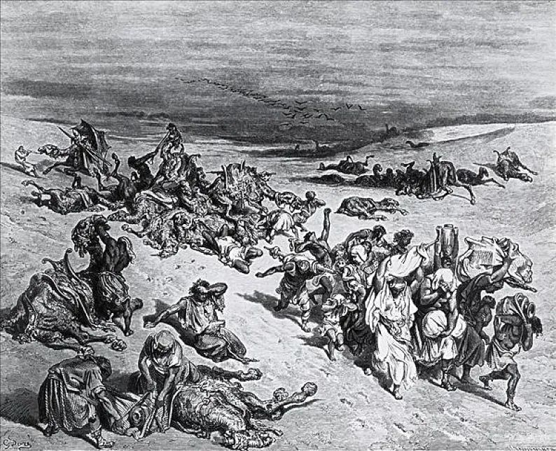 疫情对世界文化影响,文化对疾病的影响案例