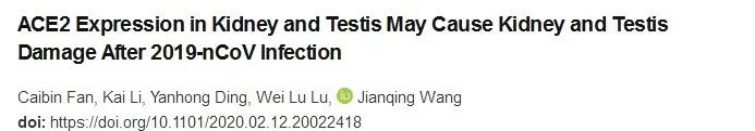 COVID-19患者普遍存在肾脏损伤,肾脏和*丸睾**或是新冠病毒的潜在攻击目标|研究速递