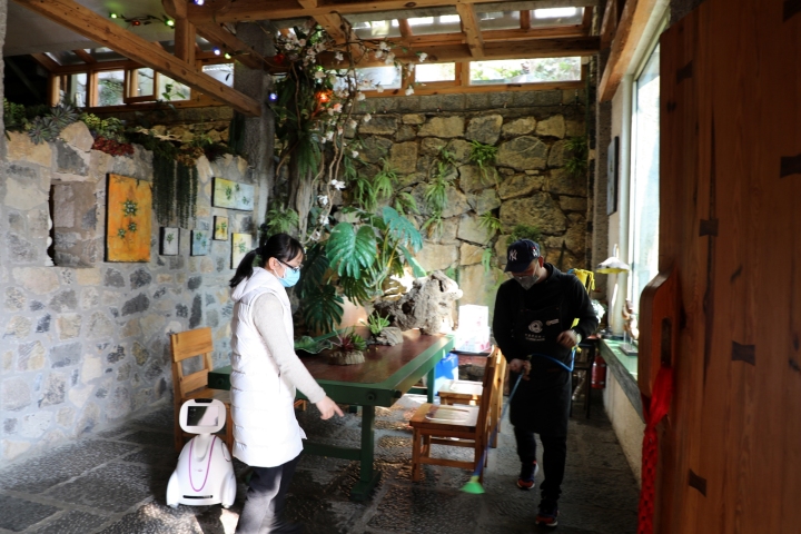 罗平县城又见往日的繁华,罗平小城又逢春