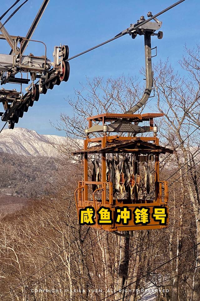 现在去日本买口罩,去日本买口罩日购