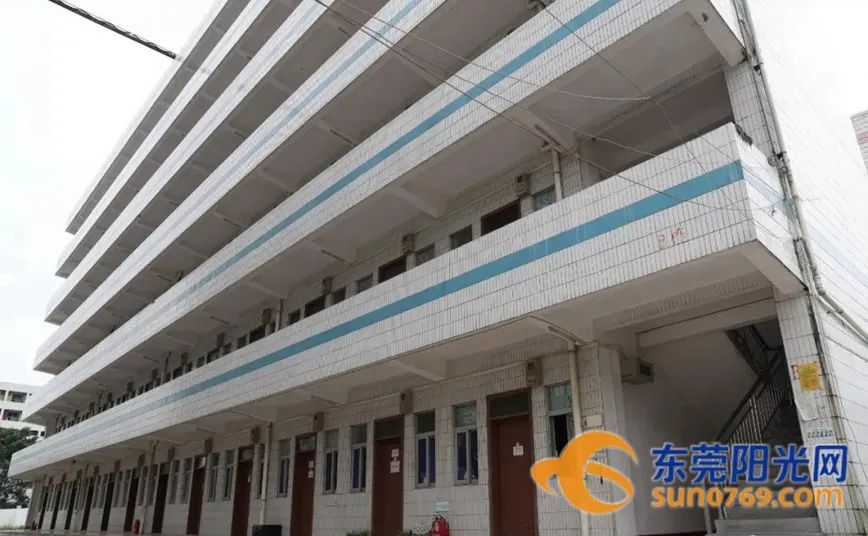 东莞市专车专列,直击各地春运返程现场