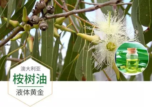 呼噜喷雾小孩能用吗,零到一岁的宝宝呼噜止鼾神器