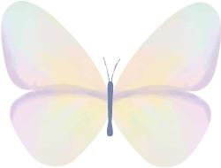 张子璇同学：你的大学能有多精彩，你自己说了算|治学大家谈