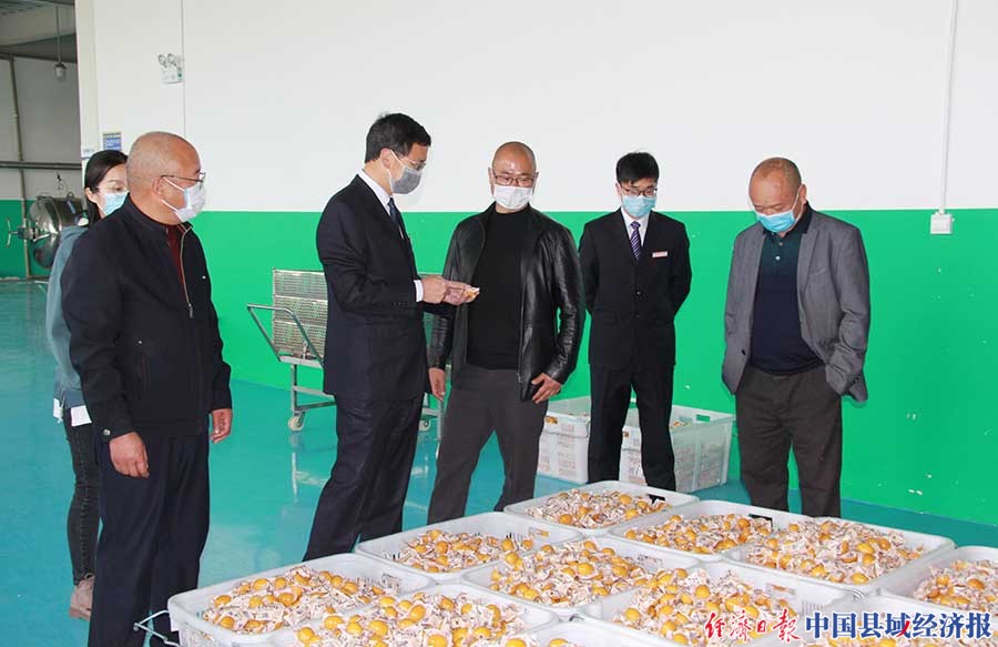 云南省祥云县复工,云南红塔银行助力烟农春耕复产