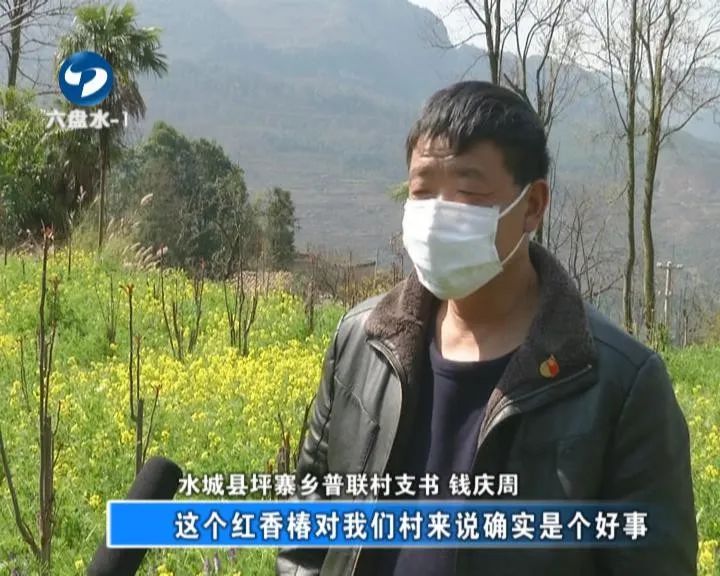 香椿这个时节不可错过的美味,鲜香椿炒鸡蛋正确做法