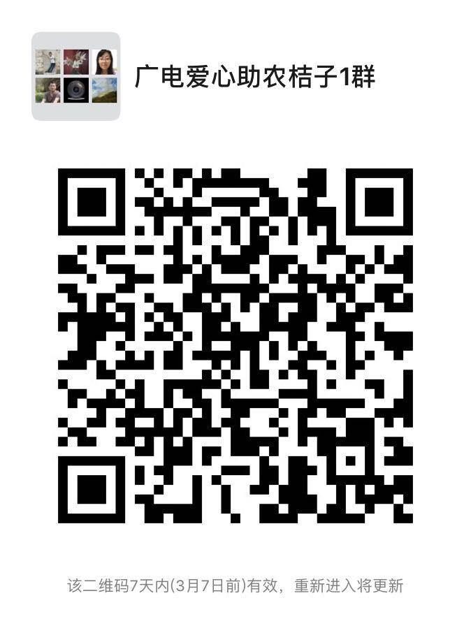 惠民社工助力蔬菜大棚销售,果农滞销爱心助农