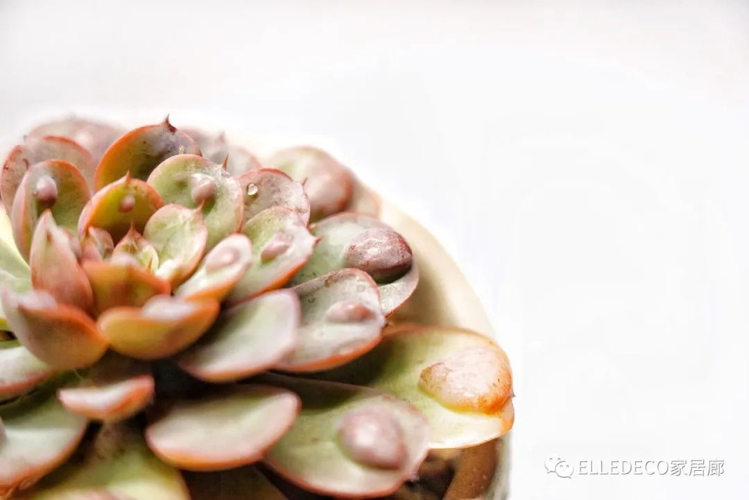 编辑们都下海了……