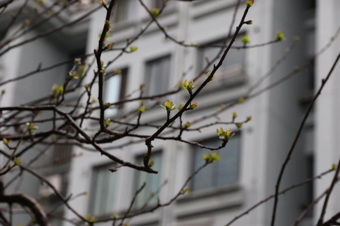 案例通报原因分析,案例通报