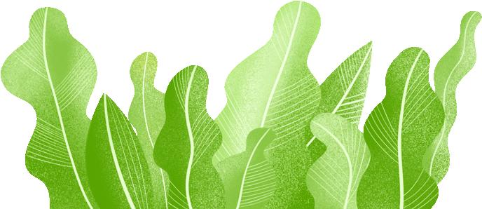 外贸出口红外线体温计测量准确,外贸出口红外测温仪