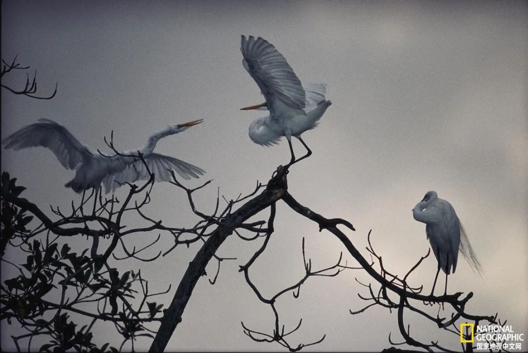记住它们现在的模样,记住这些永不过期的食品