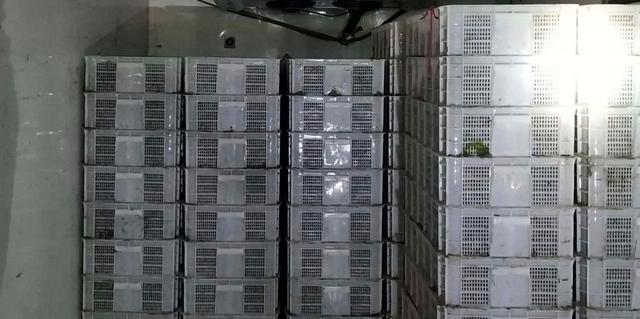 疫情后小龙虾市场将如何,疫情期小龙虾出路