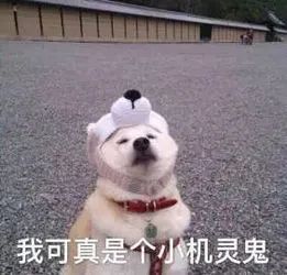 75度伏特加能杀病毒吗,伏特加杀病毒