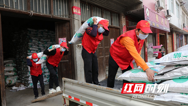 学生助农插秧志愿者活动,志愿者助力贫困户春耕备耕