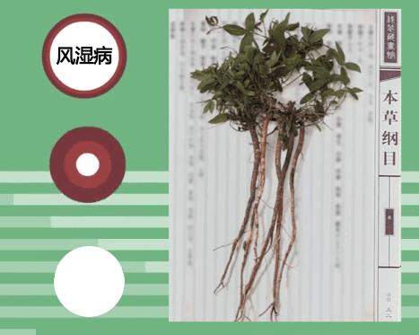 「周三爆款返场」你们要的酸痛大师台湾一条根，来喽