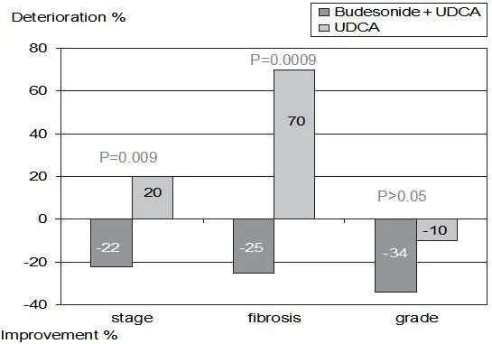APASL2020|贾继东教授：熊去氧胆酸难治性PBC患者的管理