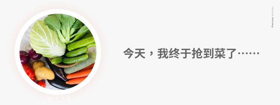 复工春秋季新款女装,春装复工