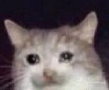 2018年王一博粉红色眼影,快来get王一博同款色号