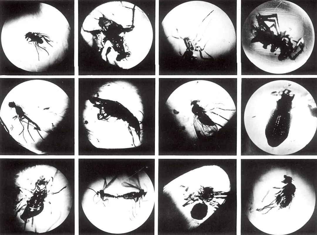 探秘废弃煤矿发现大量遗留物,60年代废弃的老煤矿