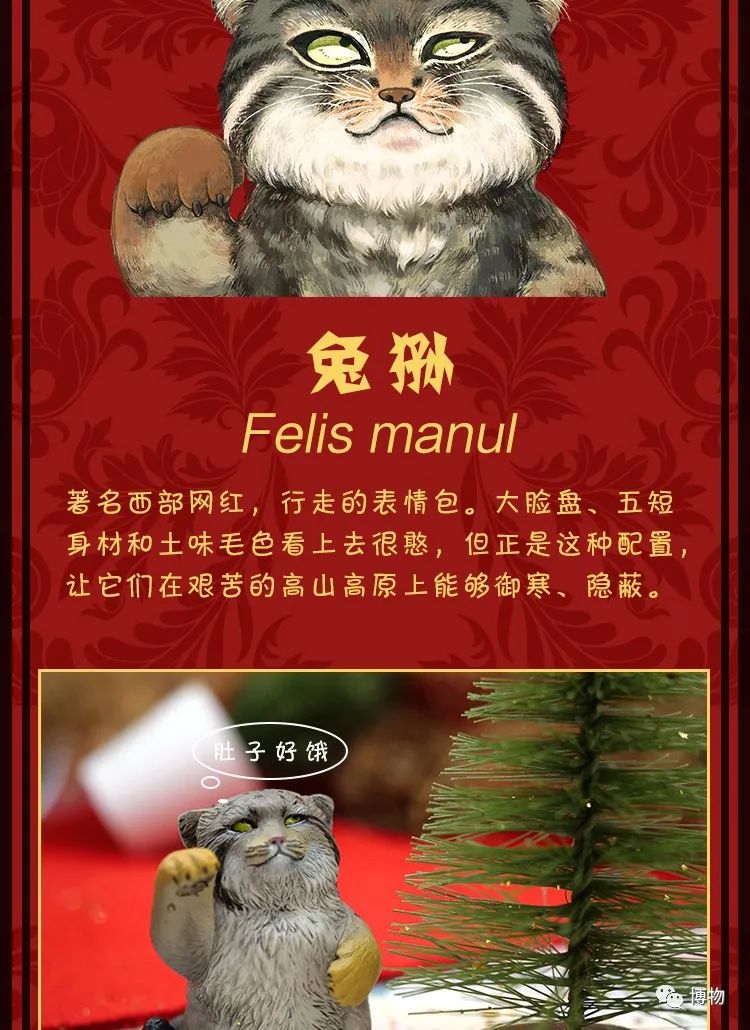 祝老板新年发财的祝福词,最真挚的祝福就是恭喜发财