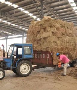 「记者行」“琦泉”：将绿色、循环进行到底