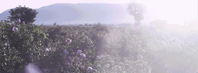 不整容不医美人真的会变吗,不整容不化妆变成美女