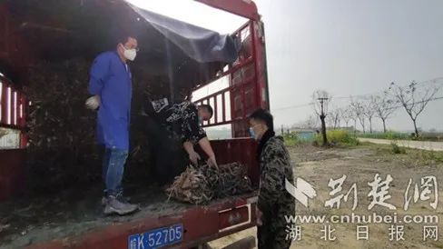 已全面掀起春耕备耕热潮,湖北农机促春耕视频