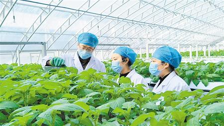 决战决胜脱贫攻坚手抄报内容图文,书写精彩脱贫答卷