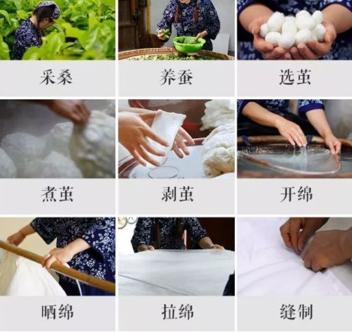 央视曝光蚕丝被长期盖,长期盖蚕丝被的危害图片