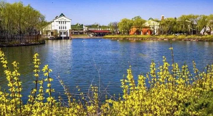 山东景区免费开放名单最新最全,山东景区门票免费政策最新