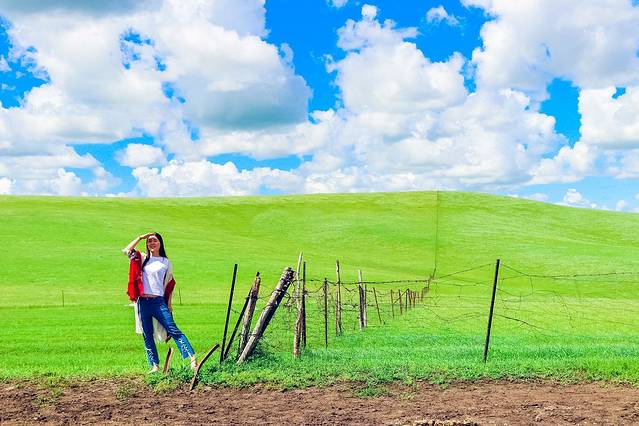 欢迎你来呼伦贝尔大草原,为你而来新疆歌曲拼音