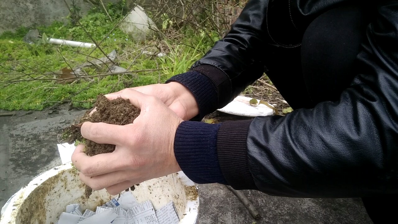 自制养蚯蚓神器,自制鱼饵神器大全