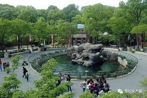 纽约上东区和上东城,纽约上东区属于哪个区域