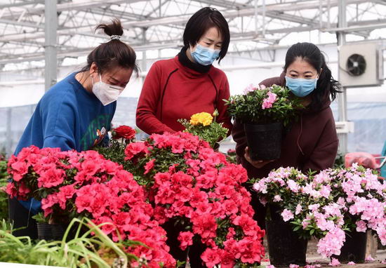 沈阳花卉市场春节营业时间,沈阳大东北园艺花卉市场