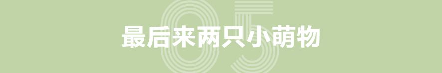 关于手表的隐藏功能,手表里的隐藏功能在哪