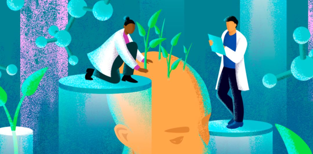 脱发特效药进展,脱发特效药研制