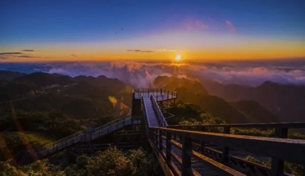 奔走相告的视频,奔走相告视频全集