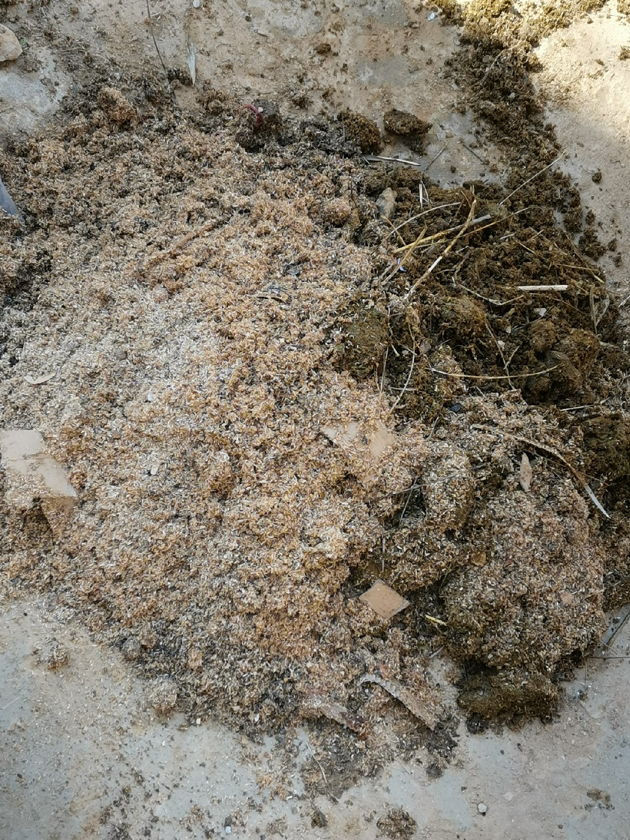 等待春暖鱼开口，先给蚯蚓安个家