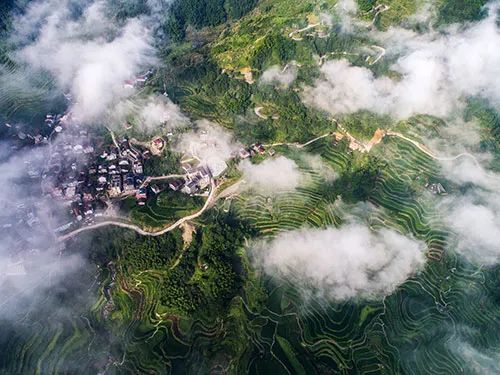 意大利为什么有这么多浙江人,意大利为什么有那么多温州人