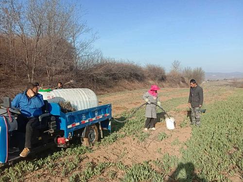代购农资保春耕乡村振兴,农资代购上门指导