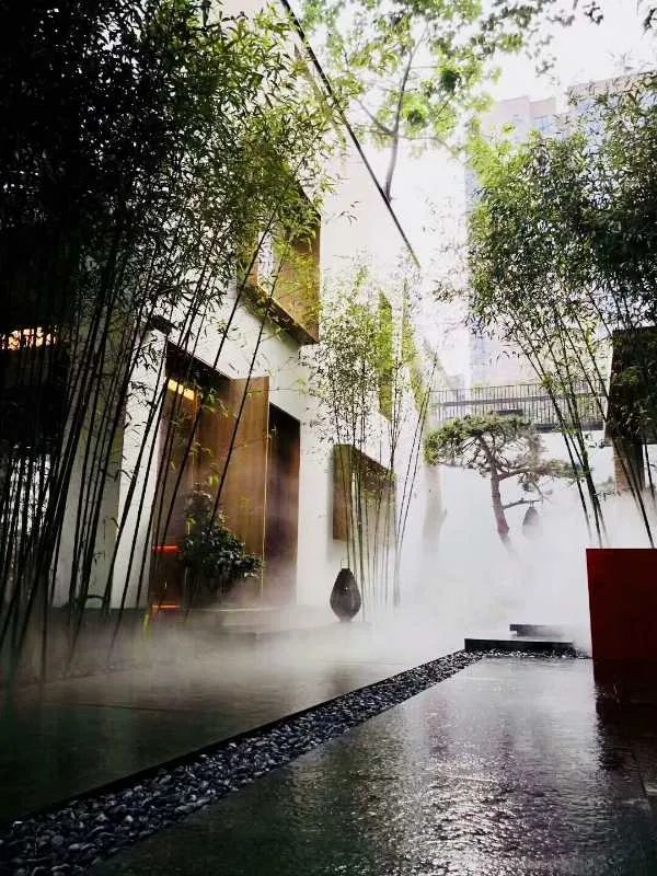 14家恢复堂食的餐厅,出门放风了的日常