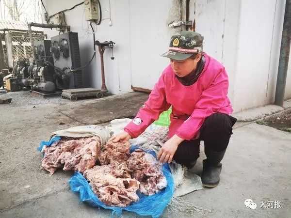 近千只水貂一夜死亡!河南养殖户欲哭无泪!鸭架是“元凶”?