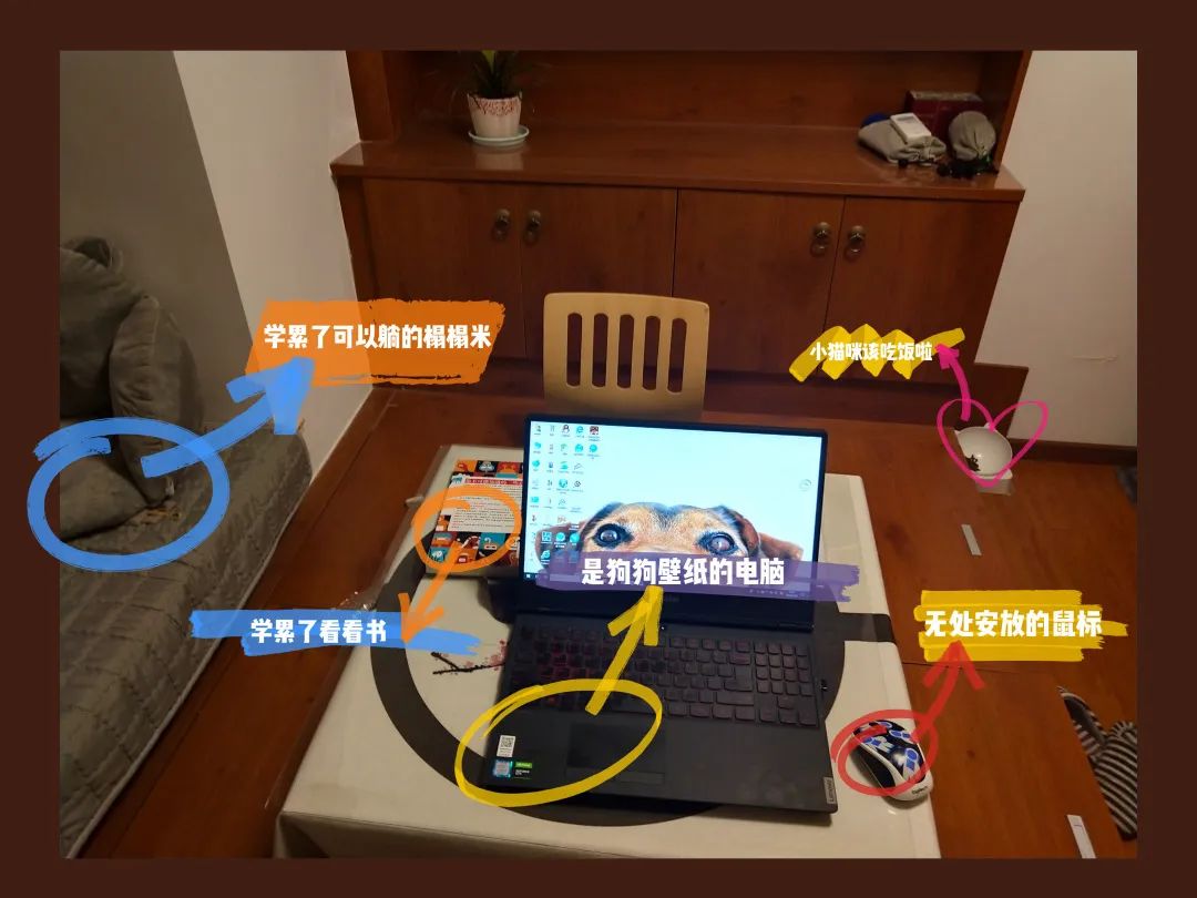 哎呀，有趣！川大版宅家学习书桌大赏