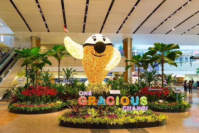 小狮妹骑摩托车,小狮妹最新视频