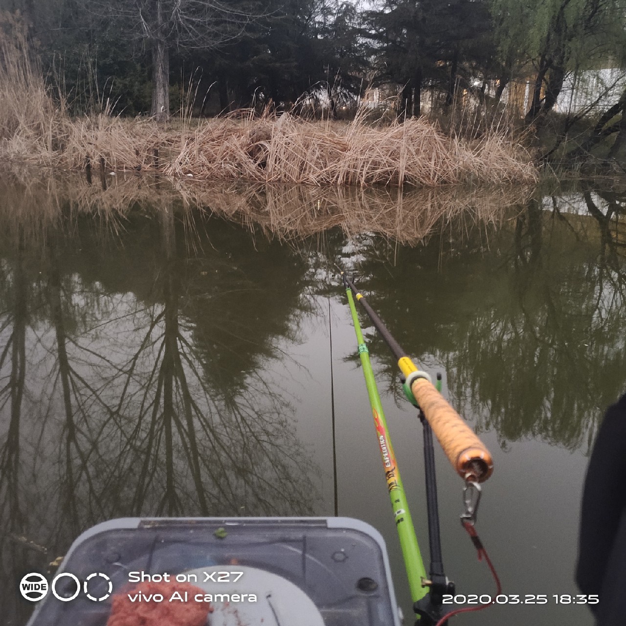 夜钓1号爆护位，人家鲤鱼爆护，我鲤毛未见