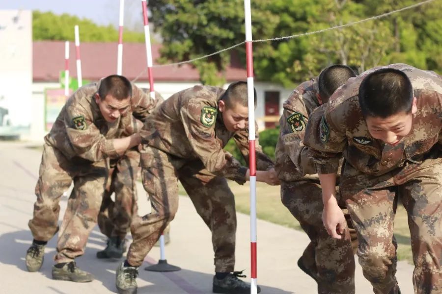 前线夜读|新兵连的迷彩记忆